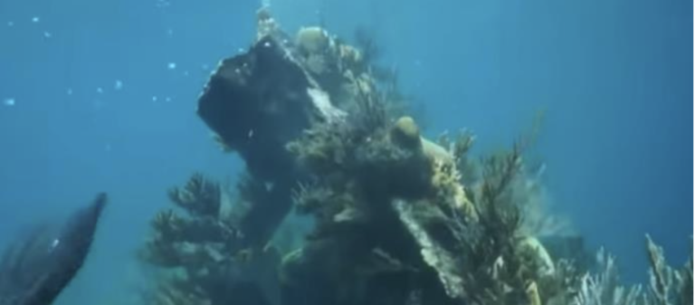 PRONAĐEN BROD KOJI JE PRE 100 GODINA NESTAO U BERMUDSKOM TROUGLU: Sve vreme je istraživačima bio pred očima! (VIDEO)