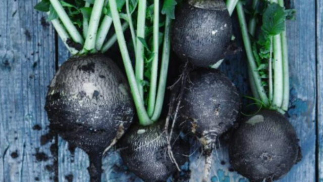 634508b0-d078-4237-851a-40500a0a0a64-screenshot-14-690x480-1-678x381